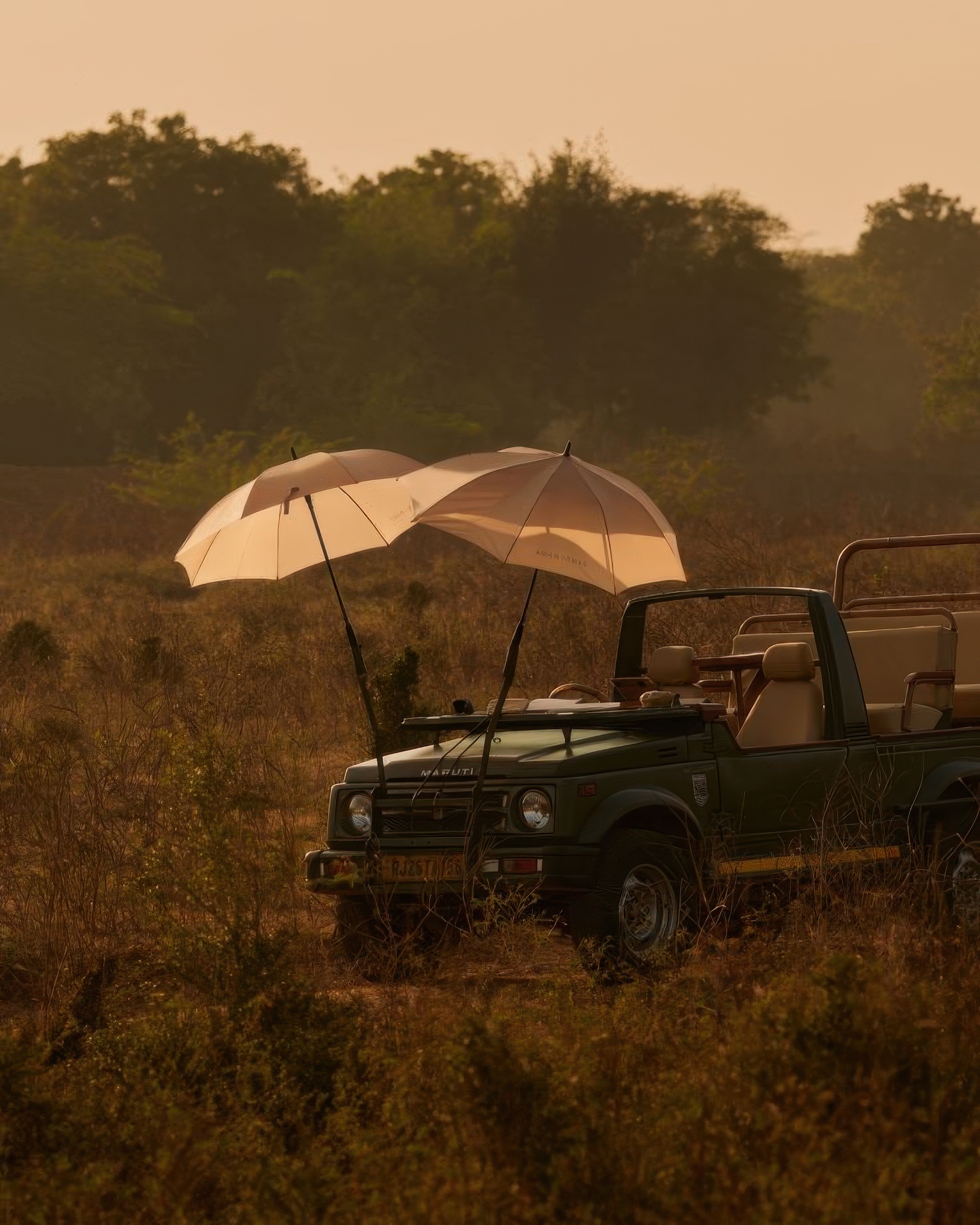 Tiger Safari Guide: Ranthambore